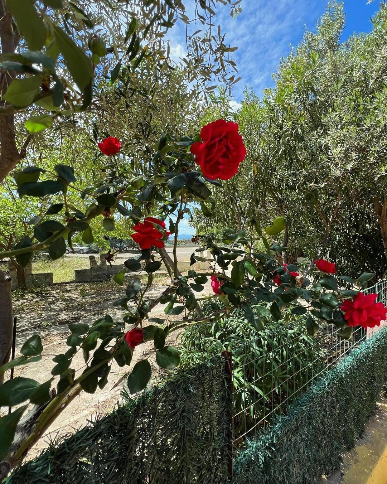 Villa Azzurra Fronte Mare Capitana Exterior photo